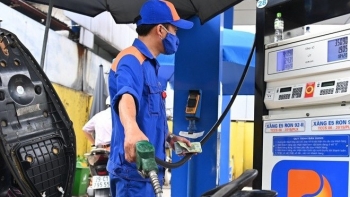 Giá xăng giảm gần 1.000 đồng/lít, giá dầu giữ nguyên