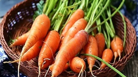 Một kiểu dùng cà rốt tưởng “lợi đơn, lợi kép” không ngờ mất hết chất