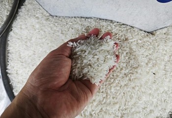Bất chấp giá gạo thế giới giảm mạnh, gạo xuất khẩu của Việt Nam vẫn neo ở mức cao