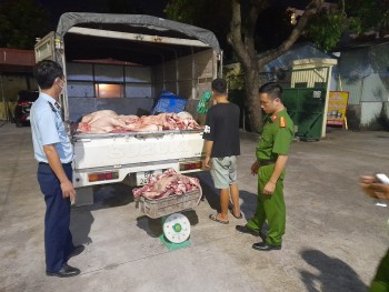 Hưng Yên: Phát hiện phương tiện vận chuyển gần 1,4 tấn thịt lợn bốc mùi ôi thiu
