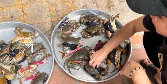 Cua biển gắn mác Cà Mau có giá siêu rẻ