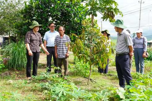 Huyện Sa Thầy (Kon Tum): Người dân làm giàu bền vững dựa trên tiềm năng nông nghiệp