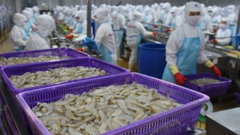 Việt Nam xuất khẩu hơn 85.000 tấn thủy sản tươi sống sang Trung Quốc trong 8 tháng