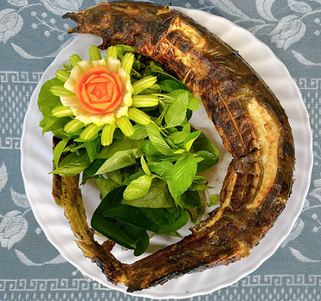 Loài cá được ví “nhân sâm dưới nước”, giá cao ngất vẫn được săn lùng