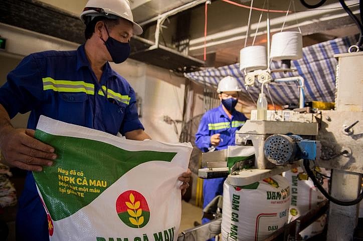 Giá phân bón tăng cao, thị trường trong nước vẫn đang ổn định