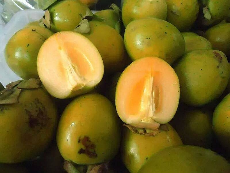 Thứ quà quê này chiều lòng được tất cả những thực khách khó tính Thứ quà quê này chiều lòng được tất cả những thực khách khó tính