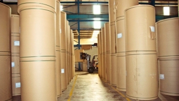 Cả nước nhập khẩu 1,39 triệu tấn giấy các loại trong 8 tháng