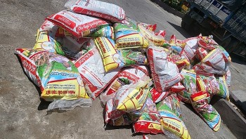 Hà Nội: Xử lý hàng loạt doanh nghiệp kinh doanh phân bón, thuốc BVTV kém chất lượng