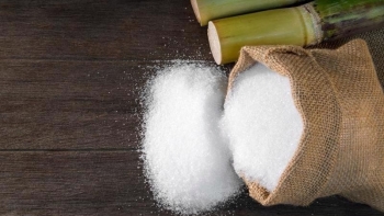 Năm 2023, giá đường đang trở về giá trị thực