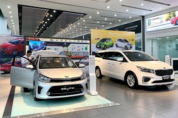 Tin kinh tế - thị trường ngày 12/10: Giá heo tiếp tục lao dốc, người nuôi ngại tái đàn; Xem xét giảm 2% thuế VAT trong năm 2024