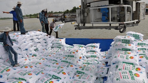 Giá phân bón xuất khẩu của Việt Nam trong tháng 9 đạt 450 USD/tấn