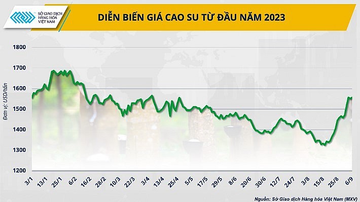 Tháng 9/2023, xuất khẩu cao su sang Trung Quốc đạt mức 1.295 USD/tấn