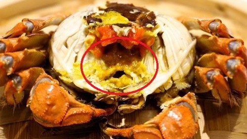 Loại hải sản đắt đỏ nhưng khi ăn phải bỏ loạt bộ phận kẻo "tiền mất tật mang"