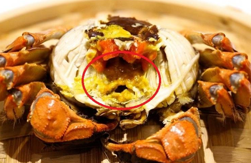 Món ăn đắt đỏ giàu protein hơn thịt nhưng khi ăn phải bỏ loạt bộ phận kẻo "tiền mất tật mang" Món ăn đắt đỏ giàu protein hơn thịt nhưng khi ăn phải bỏ loạt bộ phận kẻo "tiền mất tật mang"