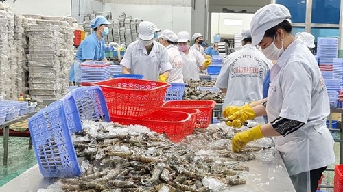 Việt Nam Xuất khẩu thủy sản sang thị trường Mỹ đạt 150 triệu USD