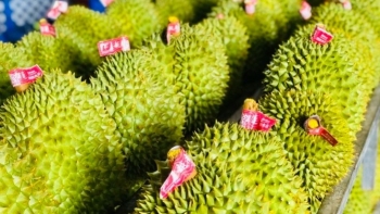 Tin kinh tế - thị trường ngày 16/10/2023: Việt Nam nhập khẩu hơn 9 triệu tấn sắt thép trong 9 tháng; GDP năm nay chỉ tăng trên 5%