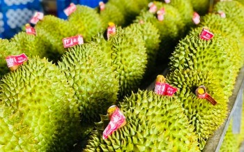 Tin kinh tế - thị trường ngày 16/10/2023: Việt Nam nhập khẩu hơn 9 triệu tấn sắt thép trong 9 tháng; GDP năm nay chỉ tăng trên 5%