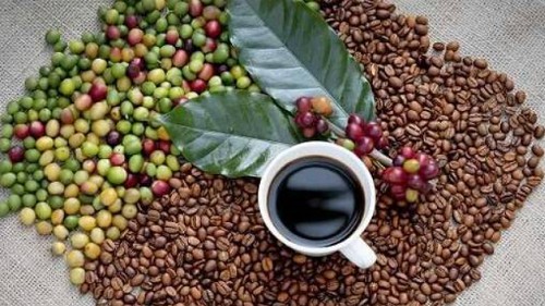 Giá nông sản hôm nay 17/10: Cà phê tăng thêm 100 đồng/kg, hồ tiêu lặng sóng giữ ở mức 70.500 đồng/kg