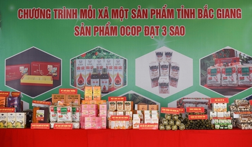 Tạo sức bật mới cho sản phẩm OCOP Bắc Giang