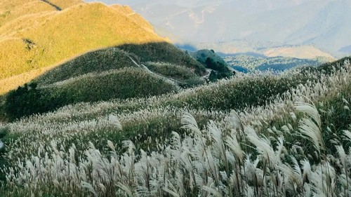 Điểm đến "hot" nhất Quảng Ninh hiện nay: Dân tình "ùn ùn" kéo đến dù đường khó đi