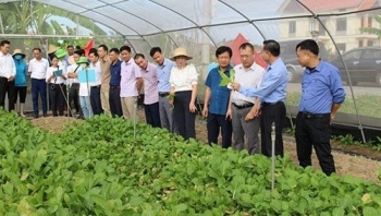 Hải Phòng thúc đẩy đầu tư vào lĩnh vực nông nghiệp và nông thôn