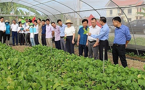Hải Phòng thúc đẩy đầu tư vào lĩnh vực nông nghiệp và nông thôn