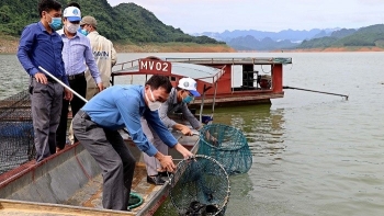 Hòa Bình phát huy tiềm năng, thế mạnh nuôi trồng thủy sản