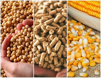 Việt Nam chi gần 6,8 tỷ USD nhập khẩu thức ăn chăn nuôi và nguyên liệu