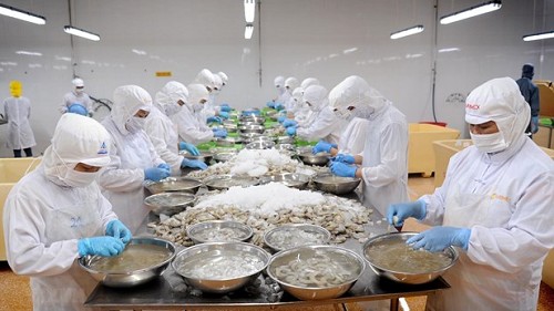 Nhiều thị trường xuất khẩu tôm tăng trưởng dương