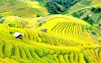 Yên Bái: Định hướng, thúc đẩy hoạt động khai thác khoáng sản bền vững