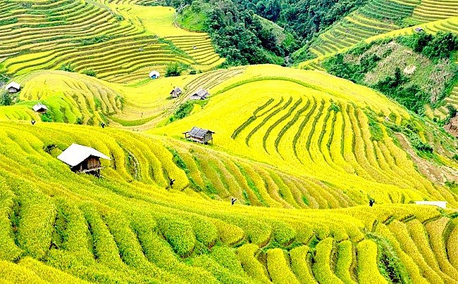 Yên Bái: Định hướng, thúc đẩy hoạt động khai thác khoáng sản bền vững