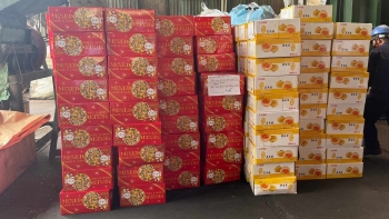 TP.HCM: Tiêu hủy lượng lớn hàng hóa giảo mạo nhãn hiệu và không rõ nguồn gốc