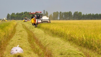 Việt Nam sẽ ký Hiệp định thương mại gạo với Indonesia, Philippines