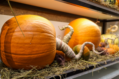 Săn mua set bí ngô đẹp hút mắt "sống ảo" dịp Halloween