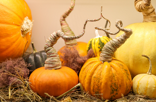 Săn mua set bí ngô đẹp hút mắt "sống ảo" dịp Halloween