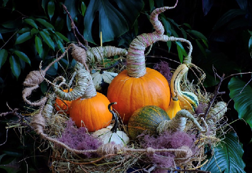 Săn mua set bí ngô đẹp hút mắt "sống ảo" dịp Halloween