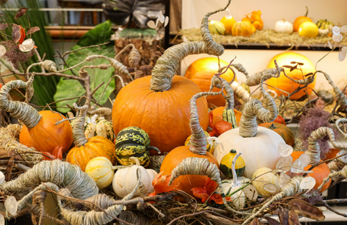 Săn mua set bí ngô đẹp hút mắt "sống ảo" dịp Halloween