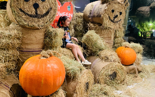 Săn mua set bí ngô đẹp hút mắt "sống ảo" dịp Halloween