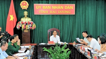 Hải Dương bàn chính sách hỗ trợ thực hiện các dự án nông nghiệp đặc thù