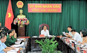 Hải Dương bàn chính sách hỗ trợ thực hiện các dự án nông nghiệp đặc thù