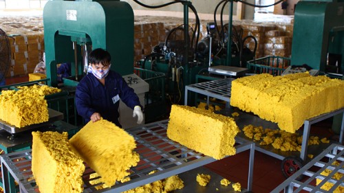 Giá cao su tại châu Á có xu hướng tăng do giá dầu  thô tăng mạnh