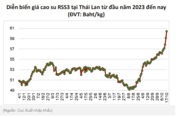 Giá cao su thế giới vọt trước lo ngại nguồn cung ở Thái Lan giảm Giá cao su thế giới vọt trước lo ngại nguồn cung ở Thái Lan giảm