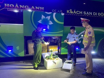 Lai Châu phát hiện phương tiện vận chuyển sâm củ không rõ nguồn gốc, xuất xứ