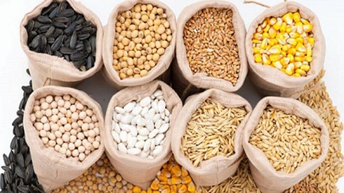 Nhập khẩu thức ăn gia súc 9 tháng đạt trên 3,82 tỷ USD