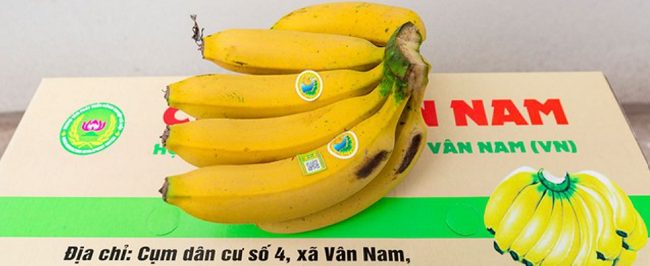 Hà Nội: Huyện Phúc Thọ chú trọng xây dựng sản phẩm nông sản đạt tiêu chuẩn OCOP