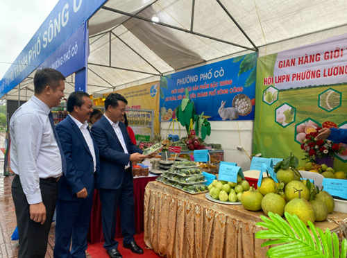 Tổ chức Festival nông sản, OCOP, làng nghề gắn kết du lịch - Thái Nguyên 2023