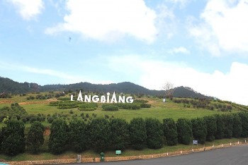 Lâm Đồng: Nữ du khách trượt chân tử vong khi chụp ảnh ở khu du lịch