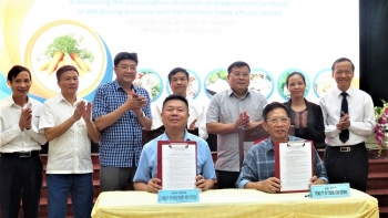 Hải Dương kết nối tiêu thụ cà rốt và nông sản với thị trường quốc tế