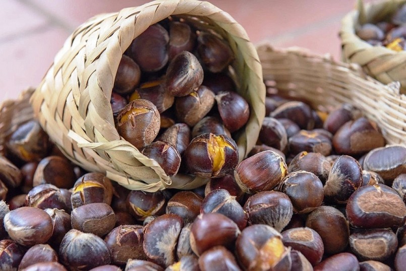 Nỗ lực đưa thương hiệu hạt dẻ Trùng Khánh vươn xa