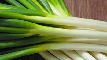 Tỏi tây - Thực phẩm đa công dụng cho sức khỏe